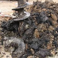 ���A�y�C���[�W