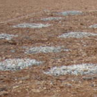 �����������������C���[�W